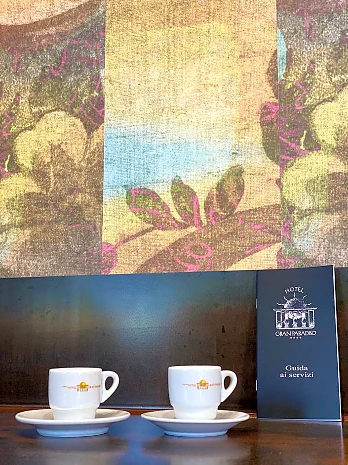 Gran Paradiso Hotel Spa
