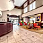 Comfort Suites Palestine