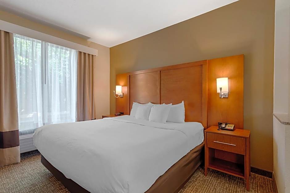 Comfort Suites Columbus State University Area
