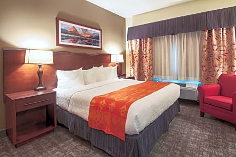 Accessible - Suite King Bed - Mobility Accessible, Roll In Shower, Sofabed, Pet Friendly Room, Fireplace, Non-Smoking, Full Breakfast