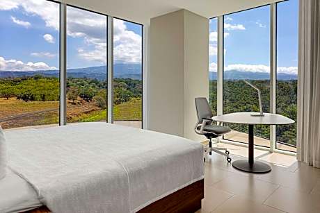One-Bedroom King Suite with Sofa Bed