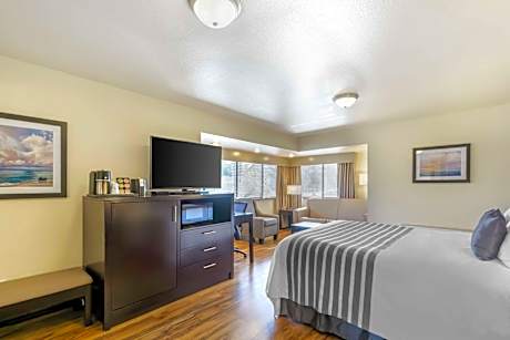 Deluxe Queen Room - Non-Smoking