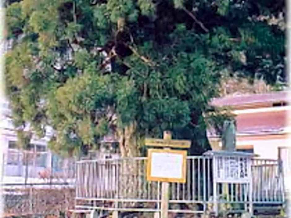 Shoji Mount Hotel - Vacation STAY 83035v