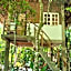 Lazy Lizard Hostel
