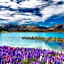 Manapouri Lakeview Motor Inn