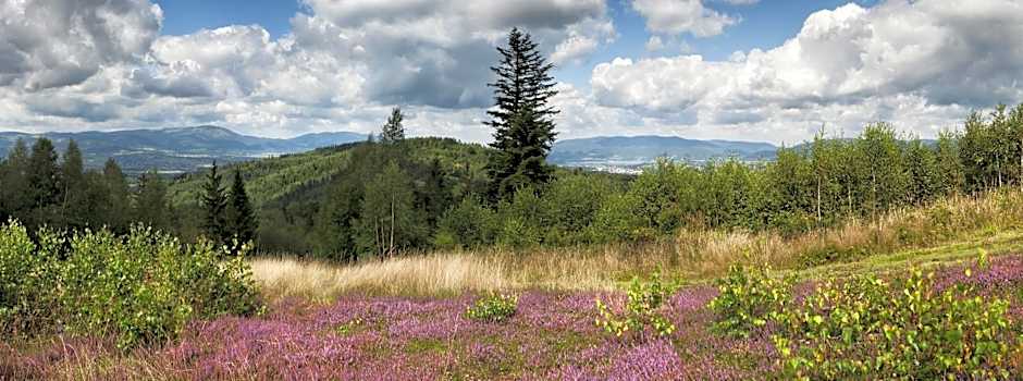 Apartamenty przy Hotelu Żywieckim