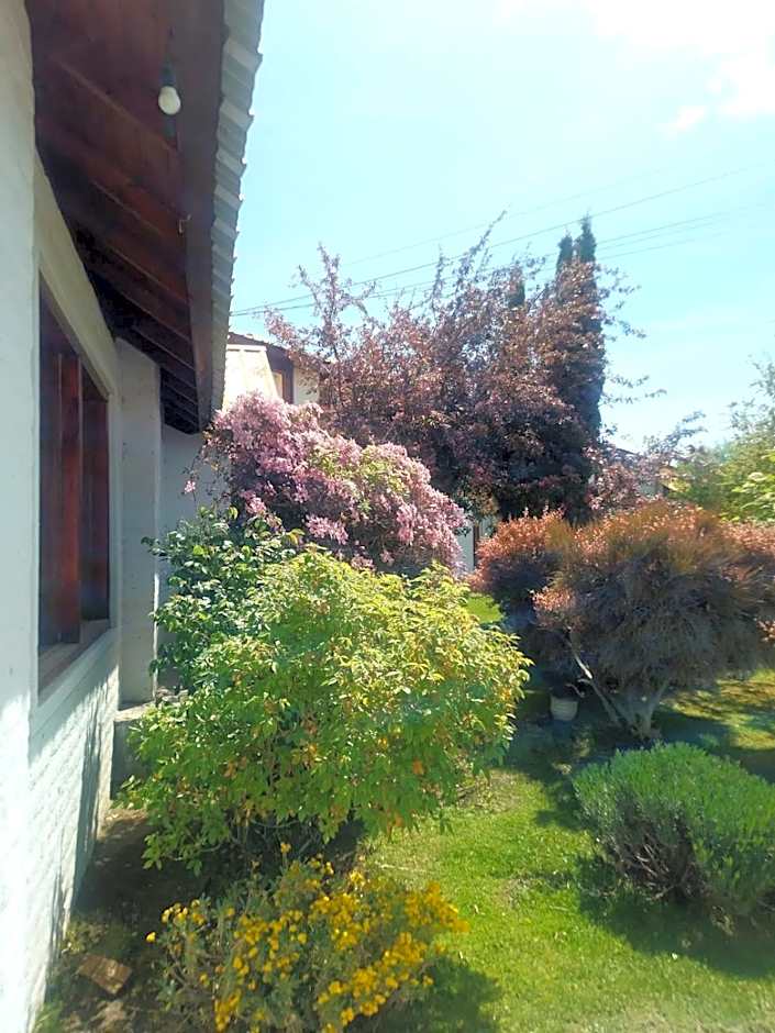 Hotel Picos Del Sur