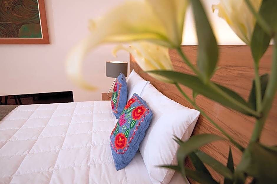 Nardazul "Casa de Sueños"