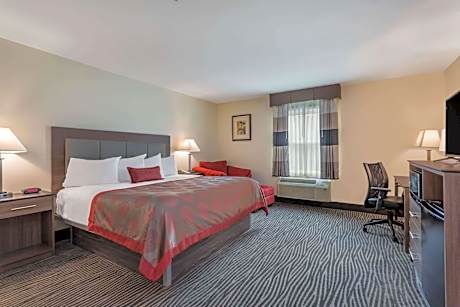 2 Double Beds Mobility Accessible Room
