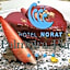 Hotel Norat Palmeira Playa