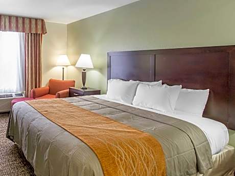 1 King Bed, Suite, Nonsmoking