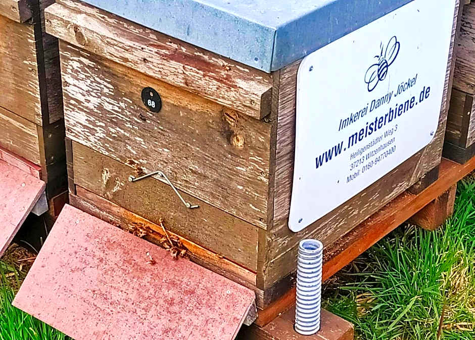 Trans World Hotel Auefeld