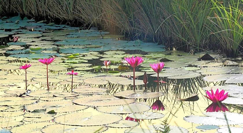 Niraamaya Retreats Backwaters and Beyond Kumarakom