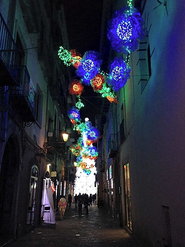 Il Salernitano Bed and Breakfast