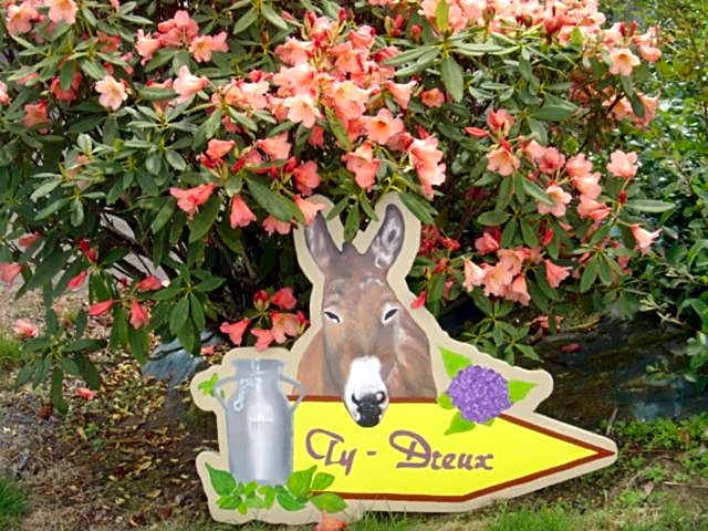 ty dreux entre terre et mer