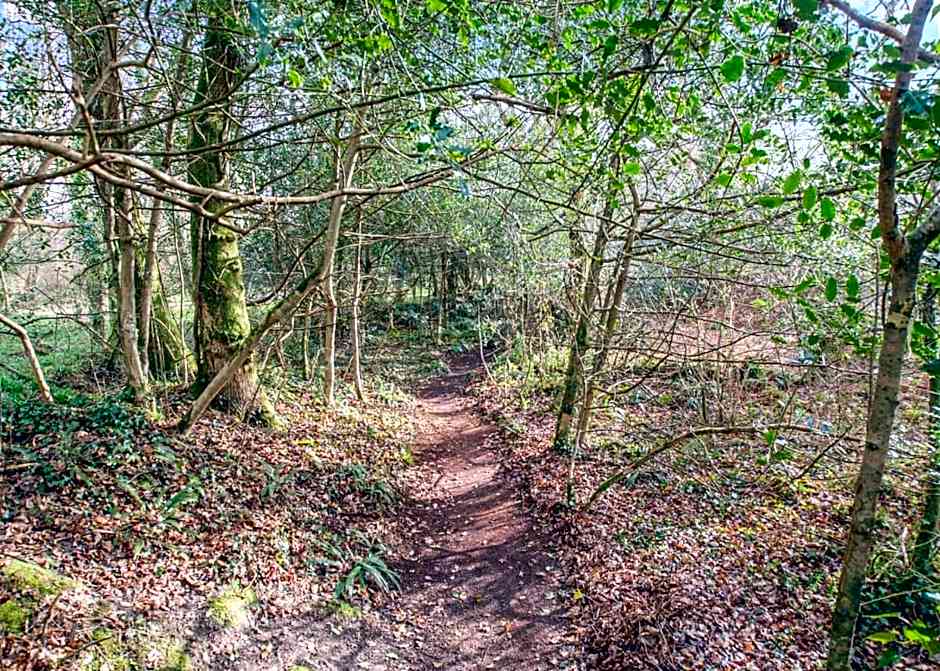 Ruthern Valley Holidays