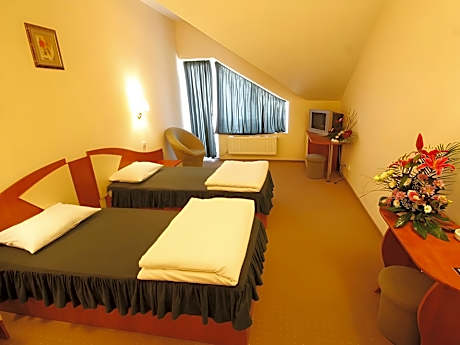 Budget Double or Twin Room