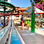 Magic Aqua Rock Gardens