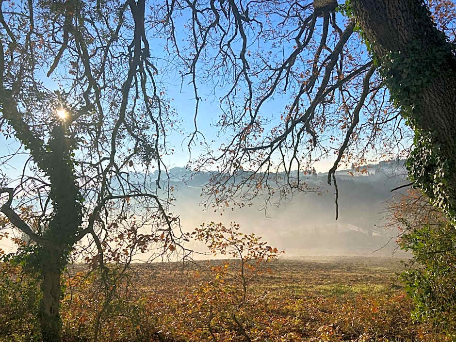 CasaLeTolfe Residence