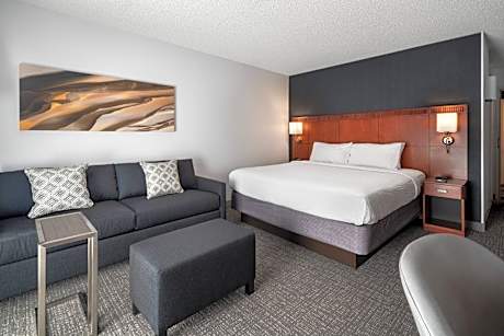 King Room with Sofa Bed