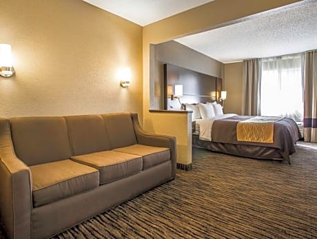 1 Bedroom Suite