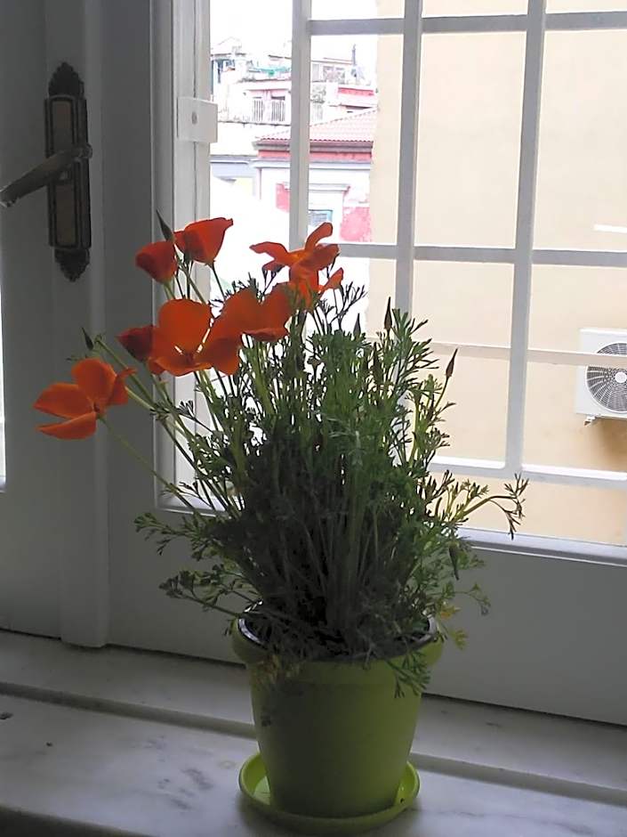 B&B Napoli Ruck&Maul