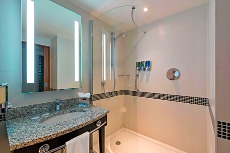 Queen Accessible Room