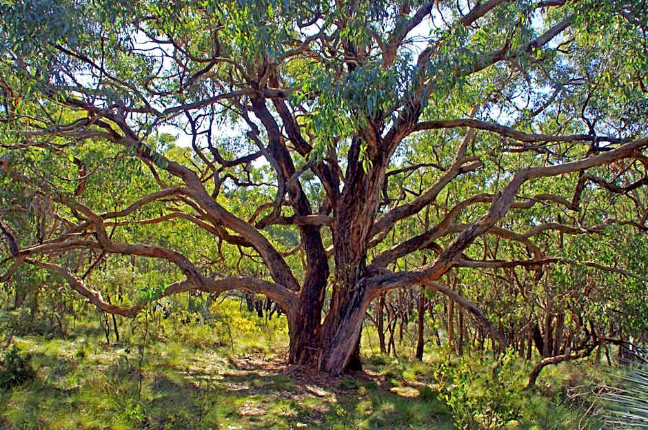 Southern Ocean Retreats - Deep Creek National Park