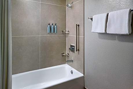 Suite, 1 Bedroom (1 King Bed and 1 Double Sofa Bed)