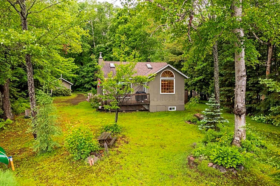 Bear Essentials Hideaway