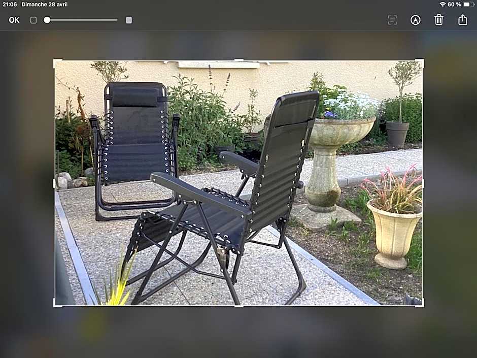 Chambre du merle