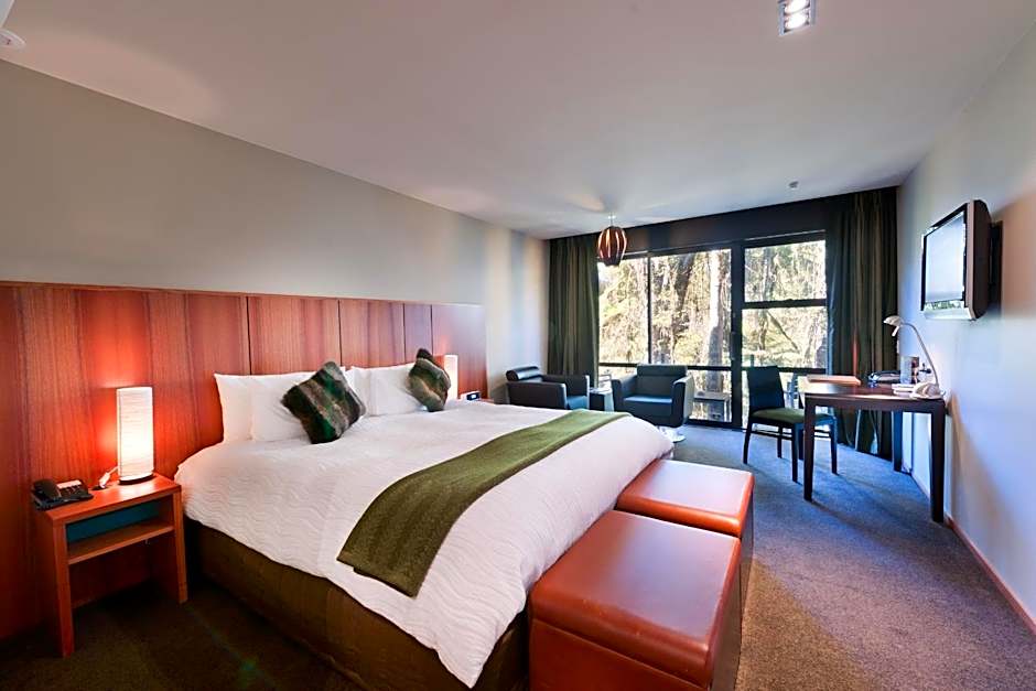 Te Waonui Forest Retreat