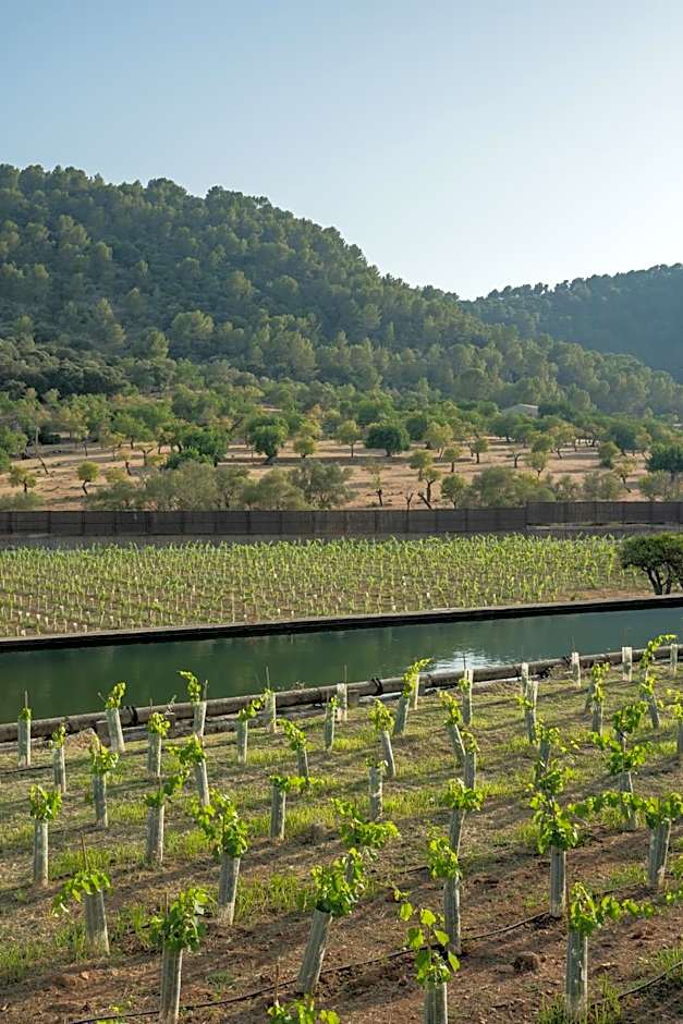 Rondaia, a Winery & Fincahotel-Agroturismo in Tramuntana