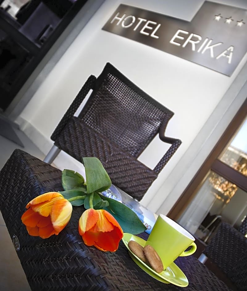 Hotel Erika