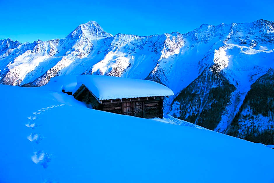 Alpenhotel zur Wildi Lauchernalp