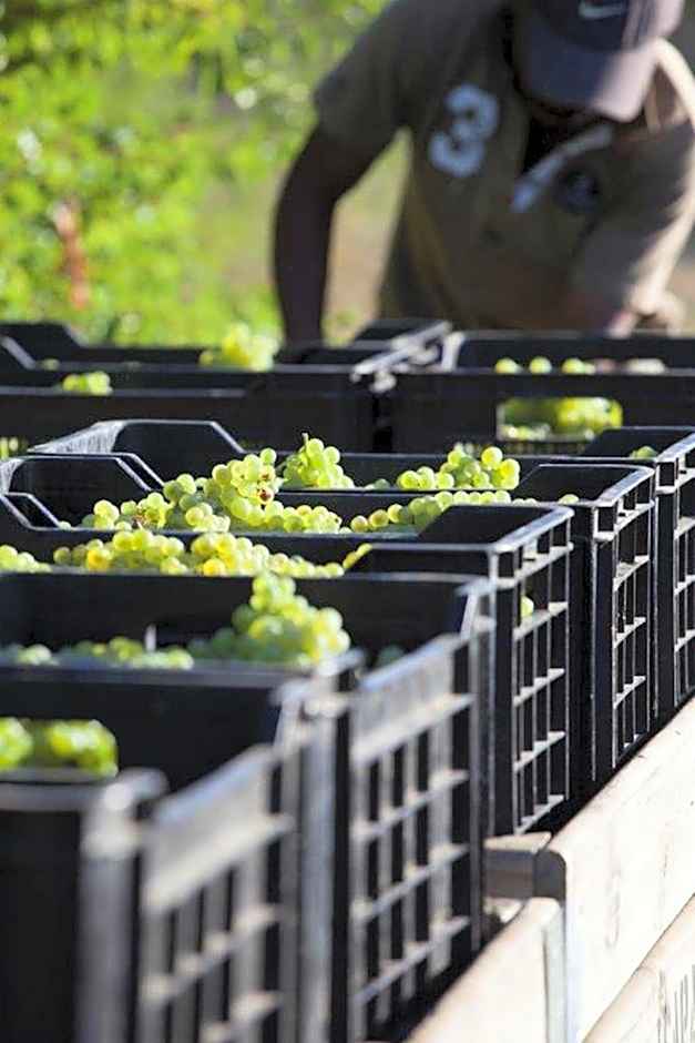 Asara Wine Estate & Hotel