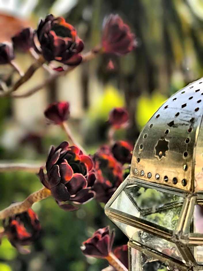 B&B Villa Du Roc Fleuri