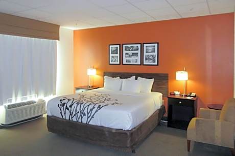 1 King Bed, Nonsmoking