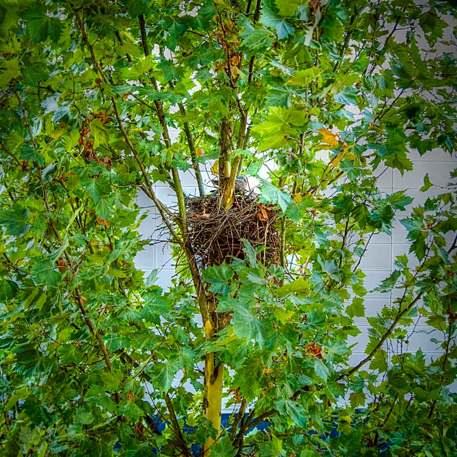 Unperfekthotel CoWorkingHotel