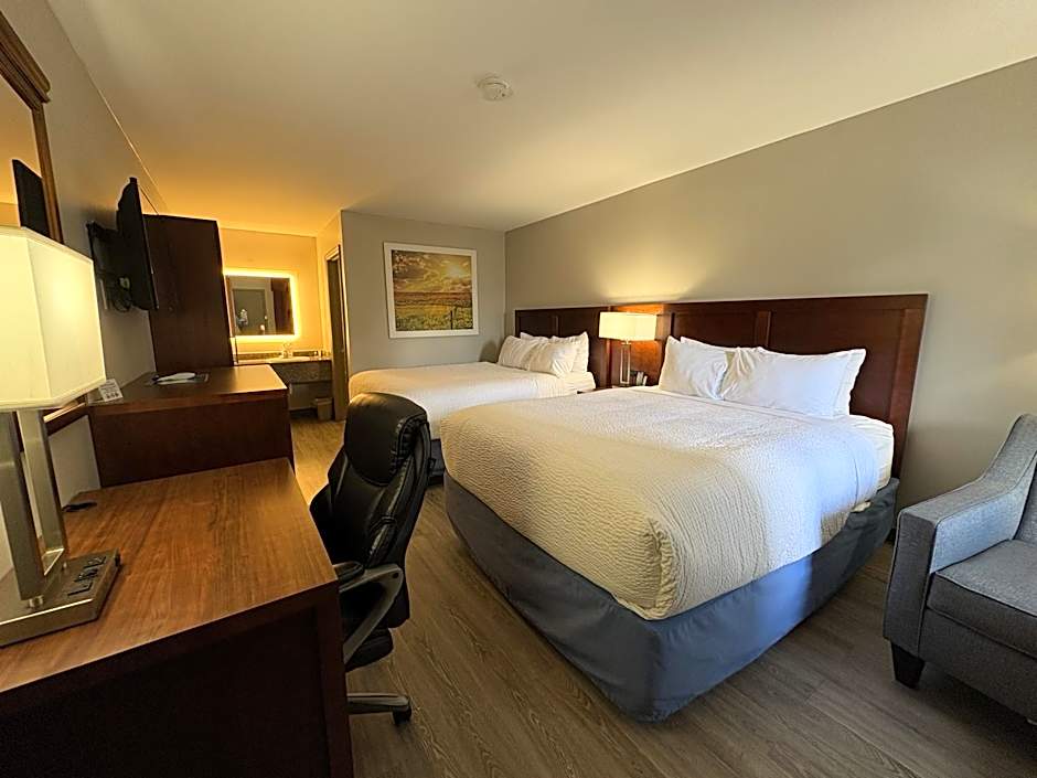 OYO Hampton South Carolina Hwy 278