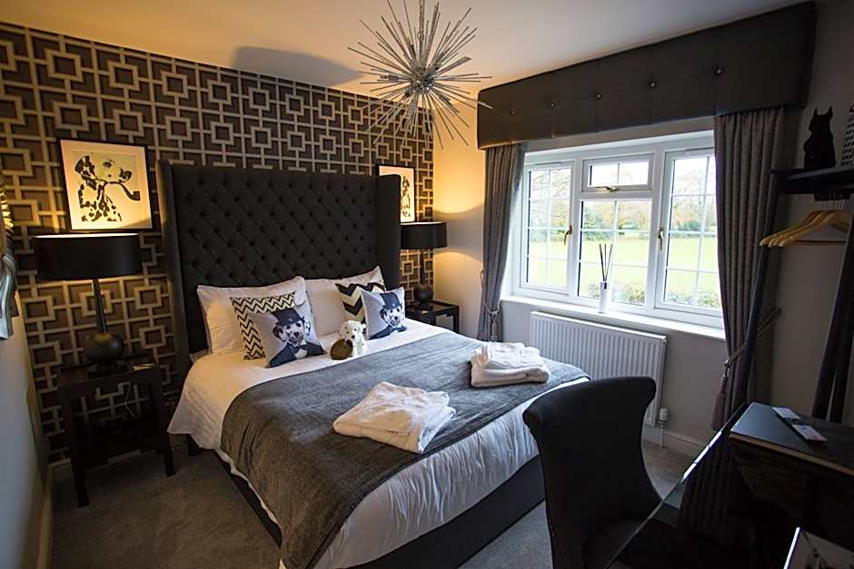 The Dog in Over Peover