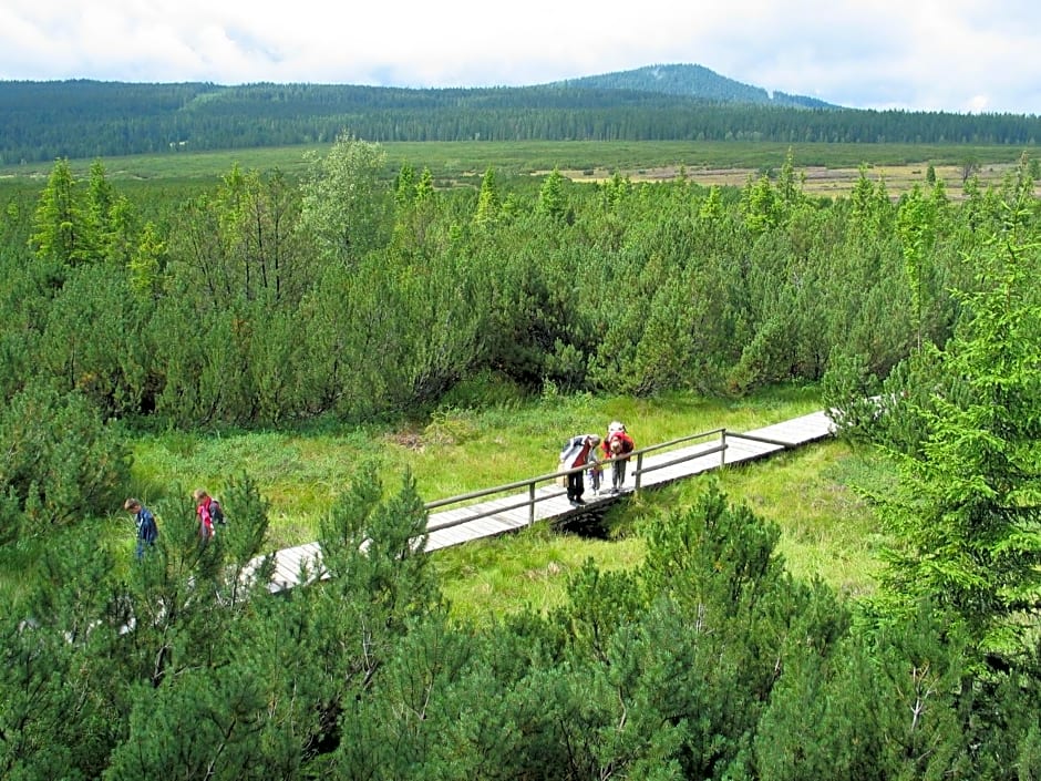 Hotel Srní depandance - Šumava