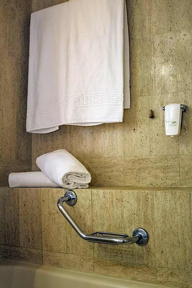 Hotel Black Tulip - Porto Gaia