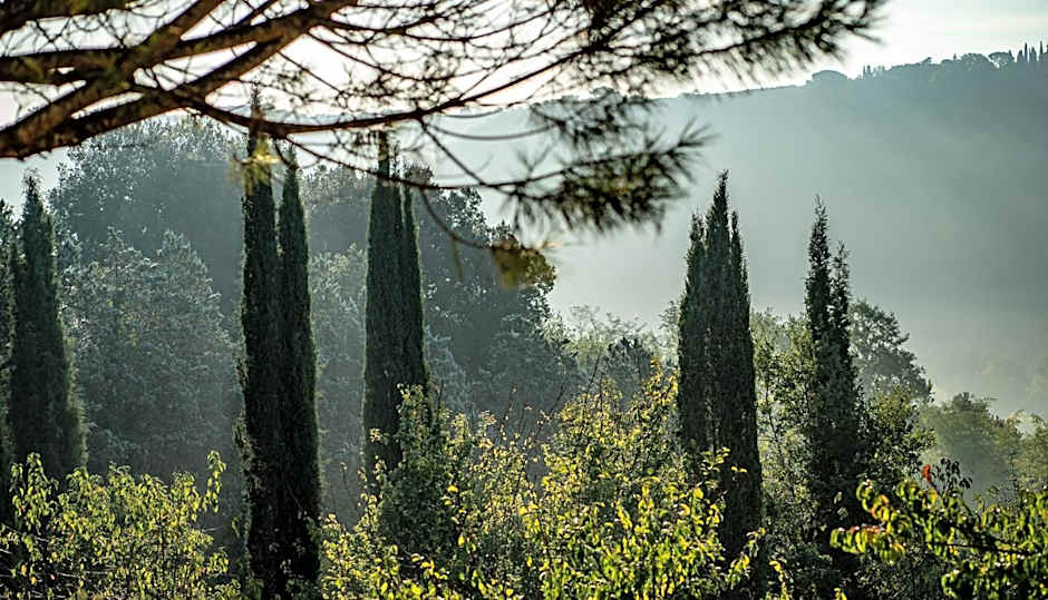 Torraccia di Chiusi Agriturismo Relais
