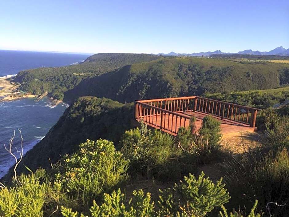 Misty Mountain Reserve