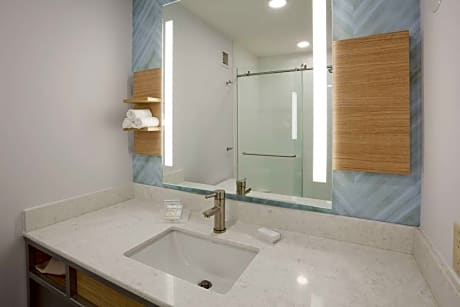 1 King Mobility Accessible W/Roll In Shower