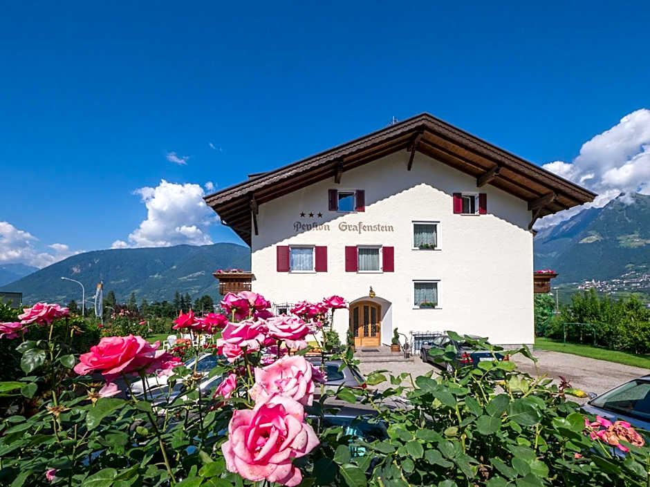 Guesthouse Pension Grafenstein