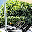 Residence Mignon