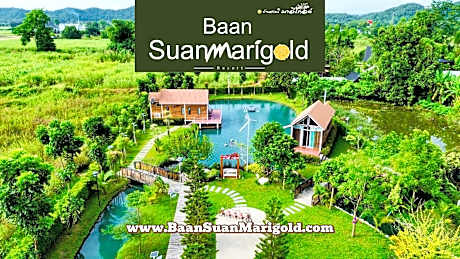 Bannsuan Marigold ¿¿¿¿¿¿¿¿¿¿¿¿¿¿¿¿