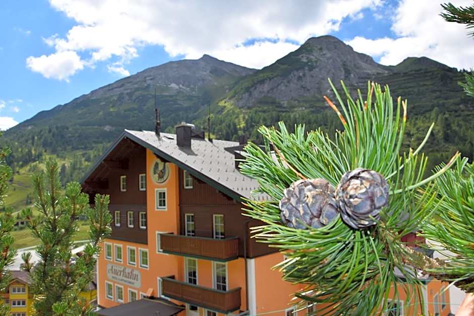 Hotel & Appartement Auerhahn